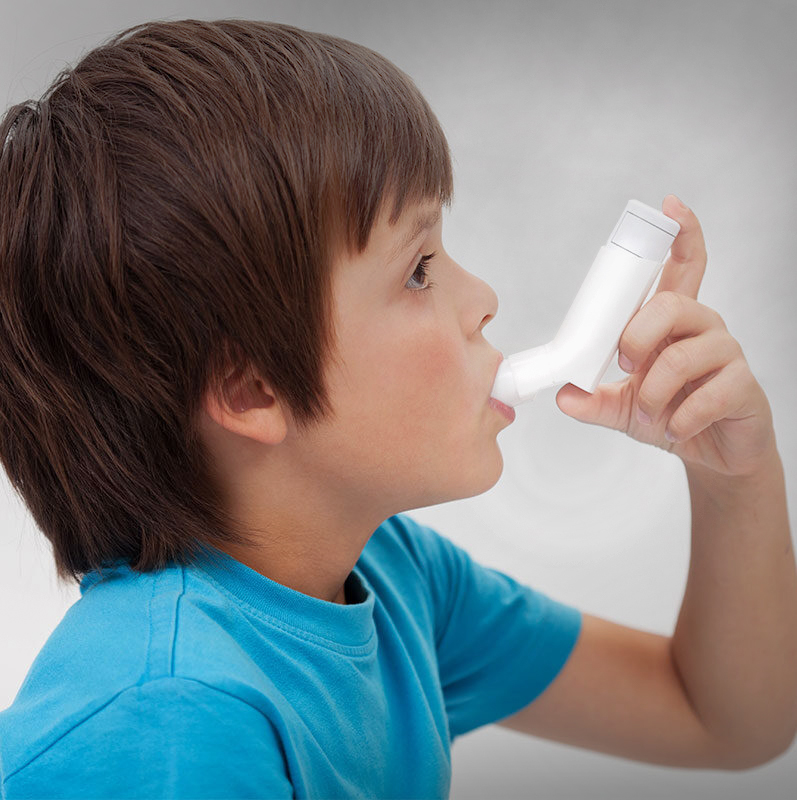 National Leaders in Allergy and Immunology - Division of Allergy and ...