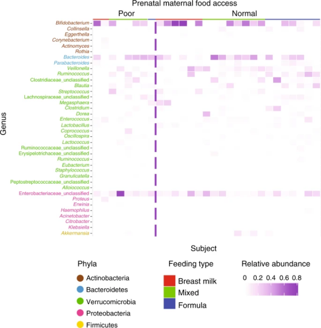 Diagram illustrates abundance of gut bacterial genera in infants in Puerto Rico in 2017