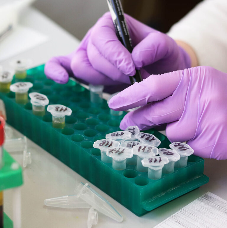 National Leaders in Allergy and Immunology Division of Allergy and